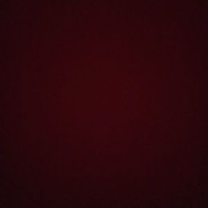 Meet your Posher, Ava